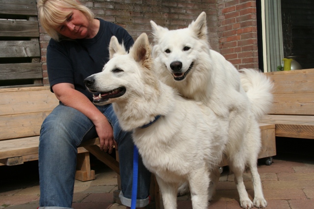 Fotos/NestWillow 2010/nest2010/Dekking/IMG_0028[1].JPG